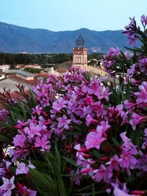 Villa Casa Rosa, Un Petit Cocon Catalan Ortaffa Esterno foto